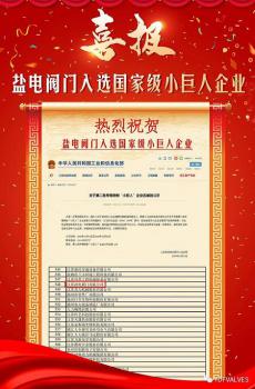 鹽電閥門入選國(guó)家級(jí)小巨人企業(yè)