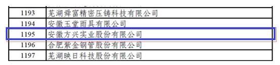 安徽方興實(shí)業(yè)股份有限公司入選國(guó)家專精特新“小巨人”企業(yè)