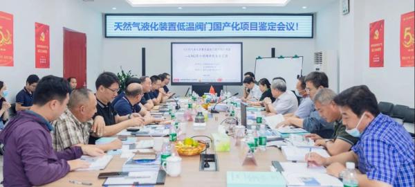 重慶川儀“天然氣液化裝置低溫閥門國產(chǎn)化”項目--LNG深冷球閥樣機成功通過鑒定