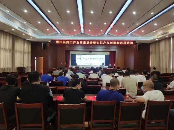浙江省泵閥中心王一翔應邀赴麗水市開展閥門培訓