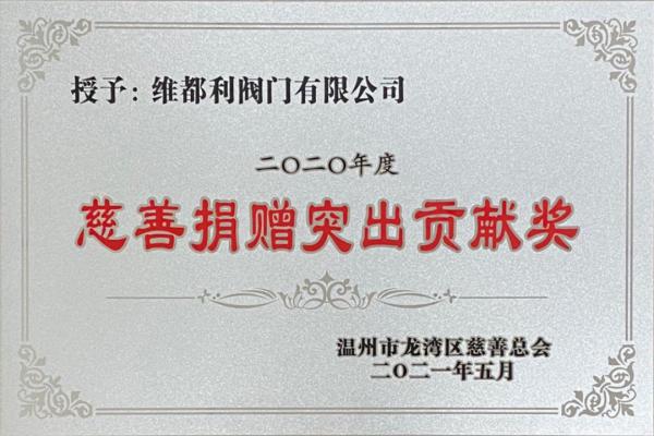 慈善捐贈(zèng)突出貢獻(xiàn)