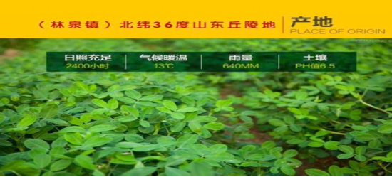 中民普健—福祉花生油，古法物理榨油