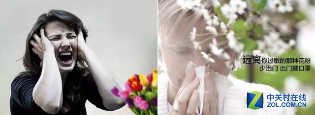 賞花正當時 花粉過敏的小伙伴們怎么破? 
