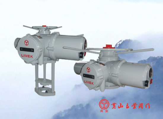 LK18,LK35智能型閥門電動(dòng)執(zhí)行.jpg